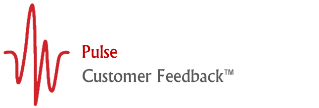 Pulse - Customer Feedback Survey