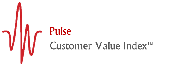 Pulse - Customer Value Index